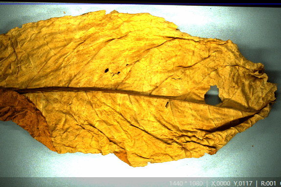 拓展机器视觉应用领域，开展多项工业检测合作